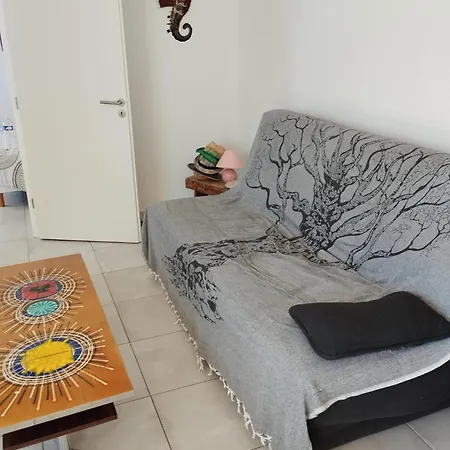 Joli T2 Proche Du Centre Et De La Appartement
